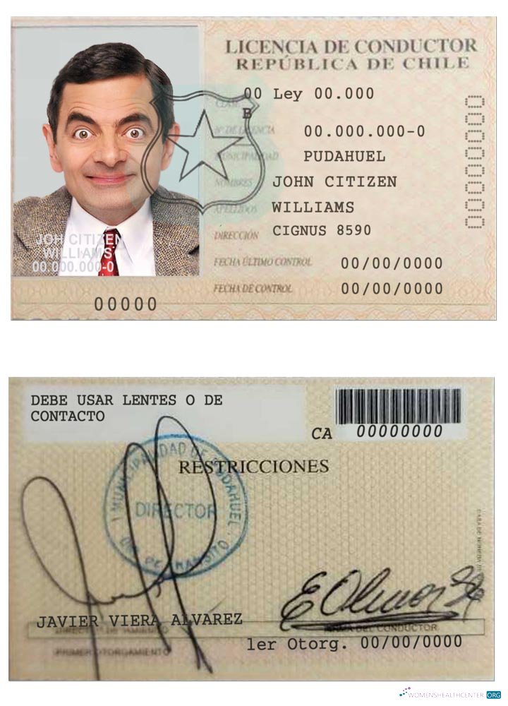 download Chile licencia de conductor